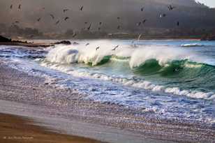 Carmel River beach-7981